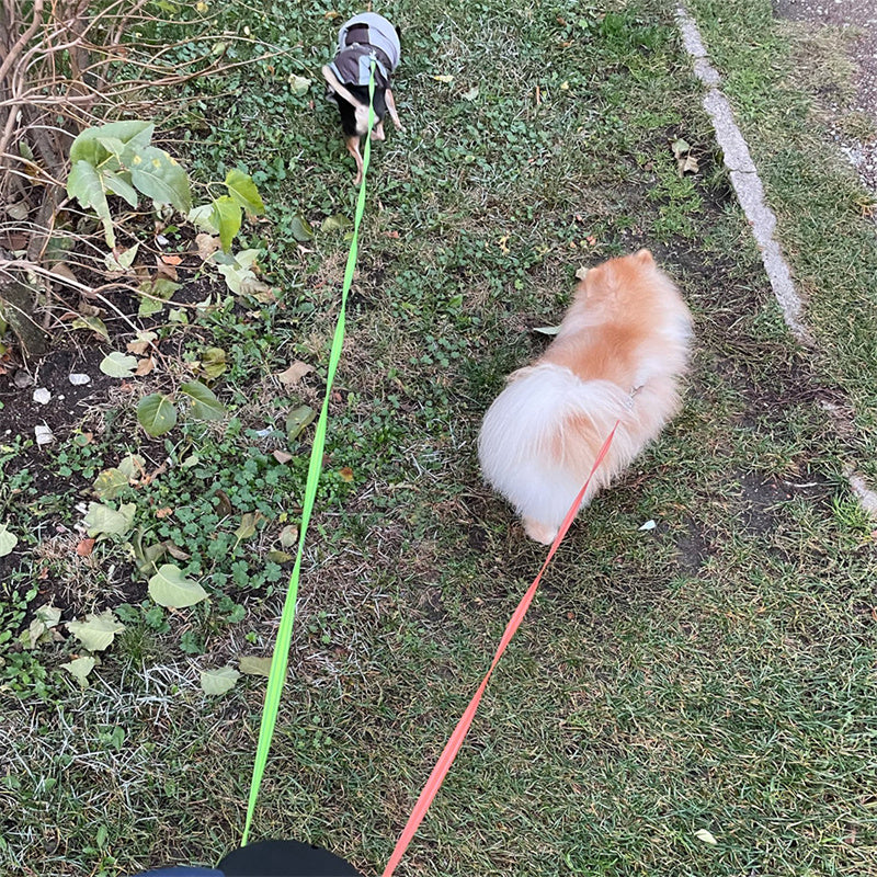 DualTrek⢠- Retractable Pet Leash